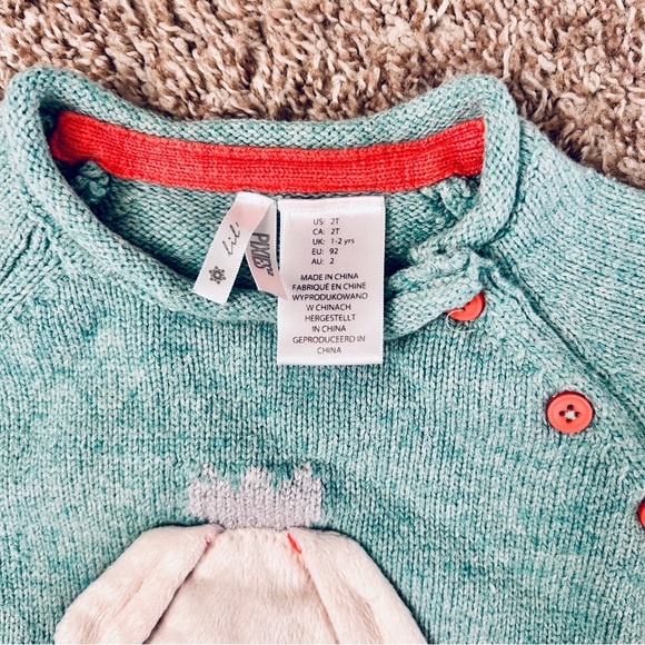 Lil Pixies I Kids Teal Bunny Applique Sweater I Size 2T I Silver, Coral Trim - Picture 4 of 5